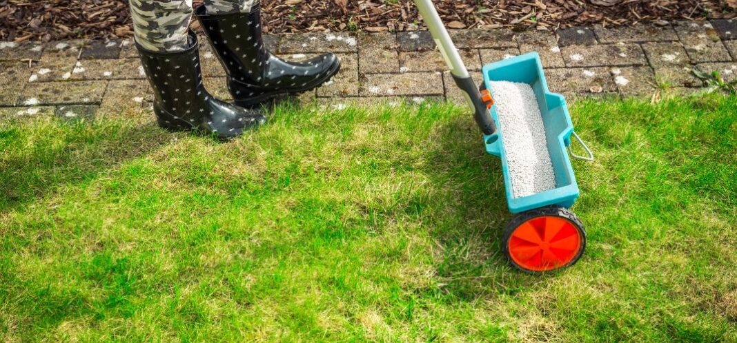 Jaki nawóz na trawę? Wszystko o pielęgnacji Twojego trawnika