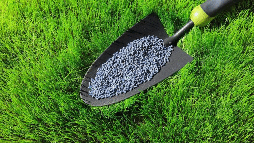 Jaki nawóz przed siewem trawy wybrać? Poradnik i klucz do pięknego trawnika