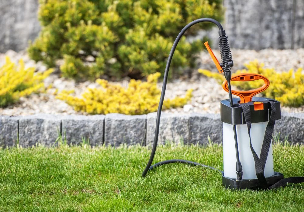 Jaki opryskiwacz akumulatorowy kupić? Poradnik i ranking modeli