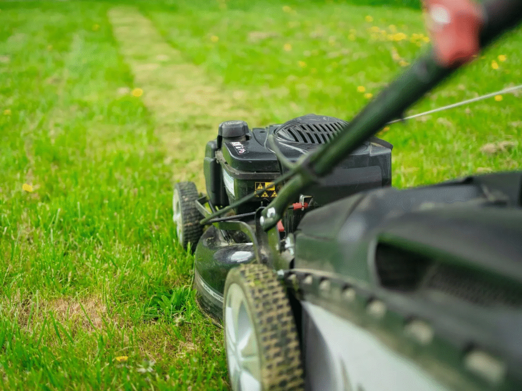 Jakie paliwo do kosiarki? Wybierz to najlepsze dla Twojego silnika